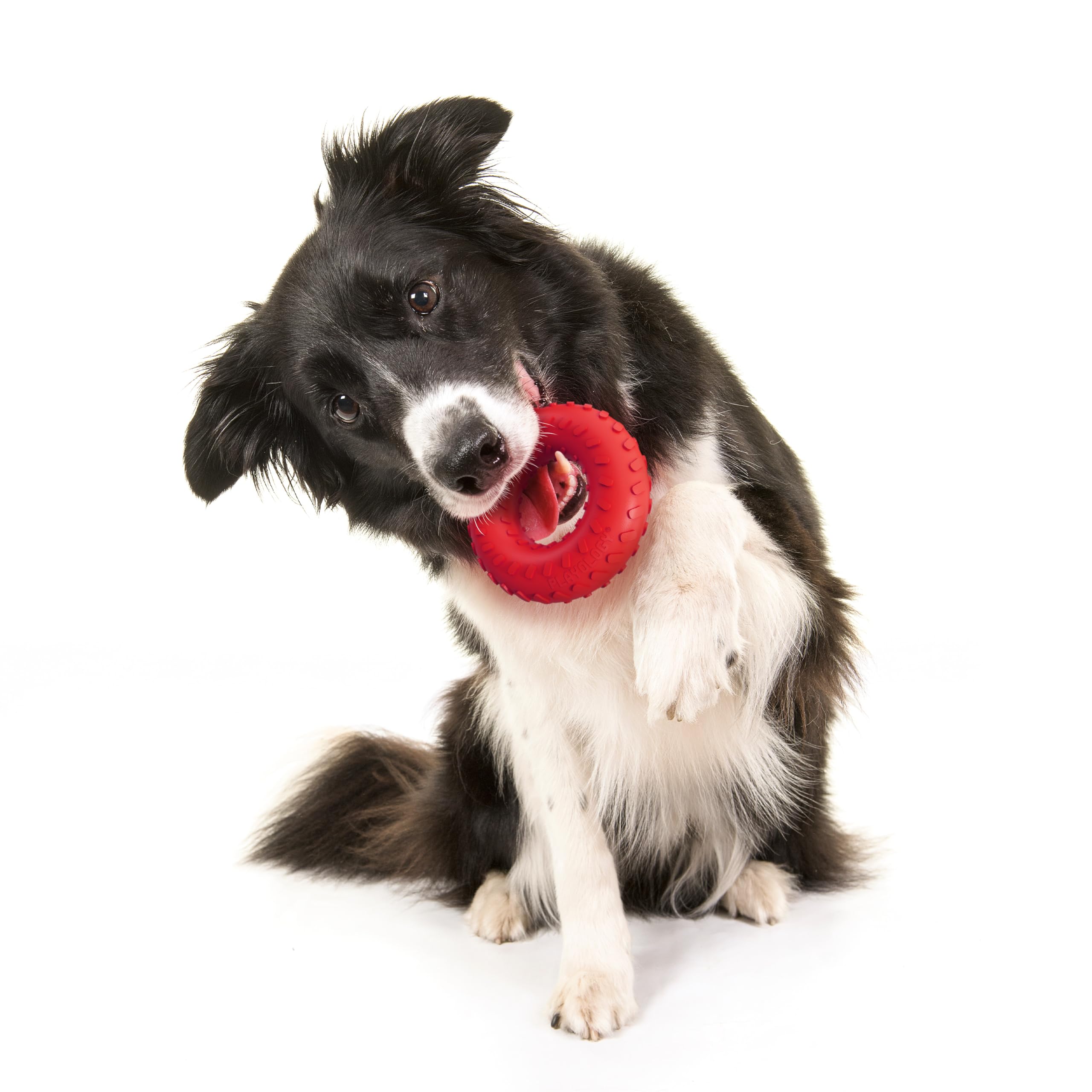 Playology Doppelschichtiges Ringspielzeug für mittelgroße Hunde bis zu 22,7 kg, ansprechendes, natürliches Rindfleischduft, langlebiges Kauspielzeug für Power-Kauer, leicht zu reinigen, interaktiv und