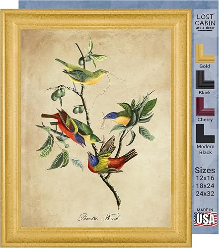 Vista 40 de Towee Bunting by James Audubon - Marco biselado negro de 12 x 16 pulgadas, decoración artística enmarcada para pared, reproducción de pinturas