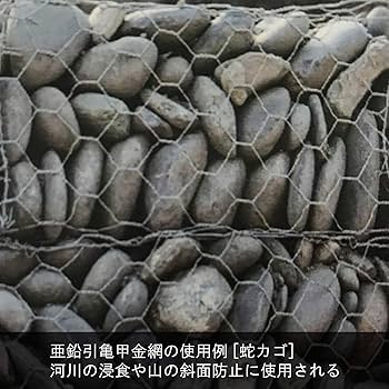 雲の網 Amazon | ダイドーハント (DAIDOHANT) (金網) 亜鉛引 亀甲金網