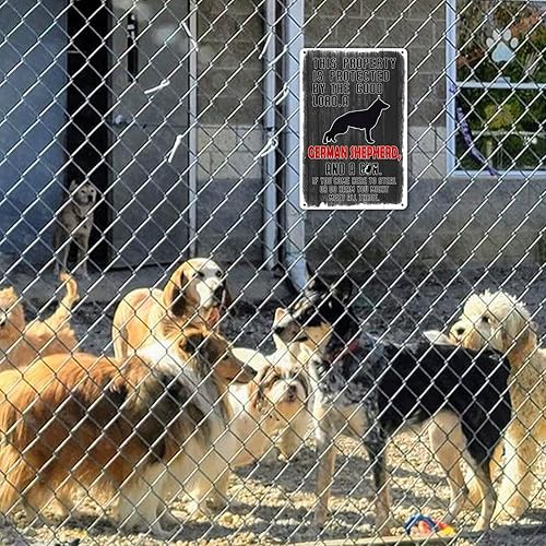 Miniatura 5 de Letrero divertido con texto en inglés "Beware Of Dog" (Beware Of Dog) - Letrero de advertencia para cerca, letrero de hojalata para perro, con texto