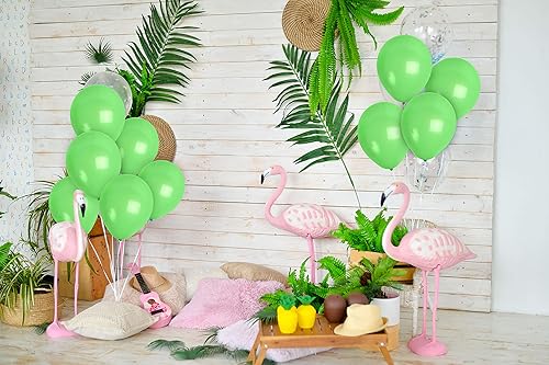 Miniatura 7 de Treasures Gifted - Globos de un solo color mate, Verde claro