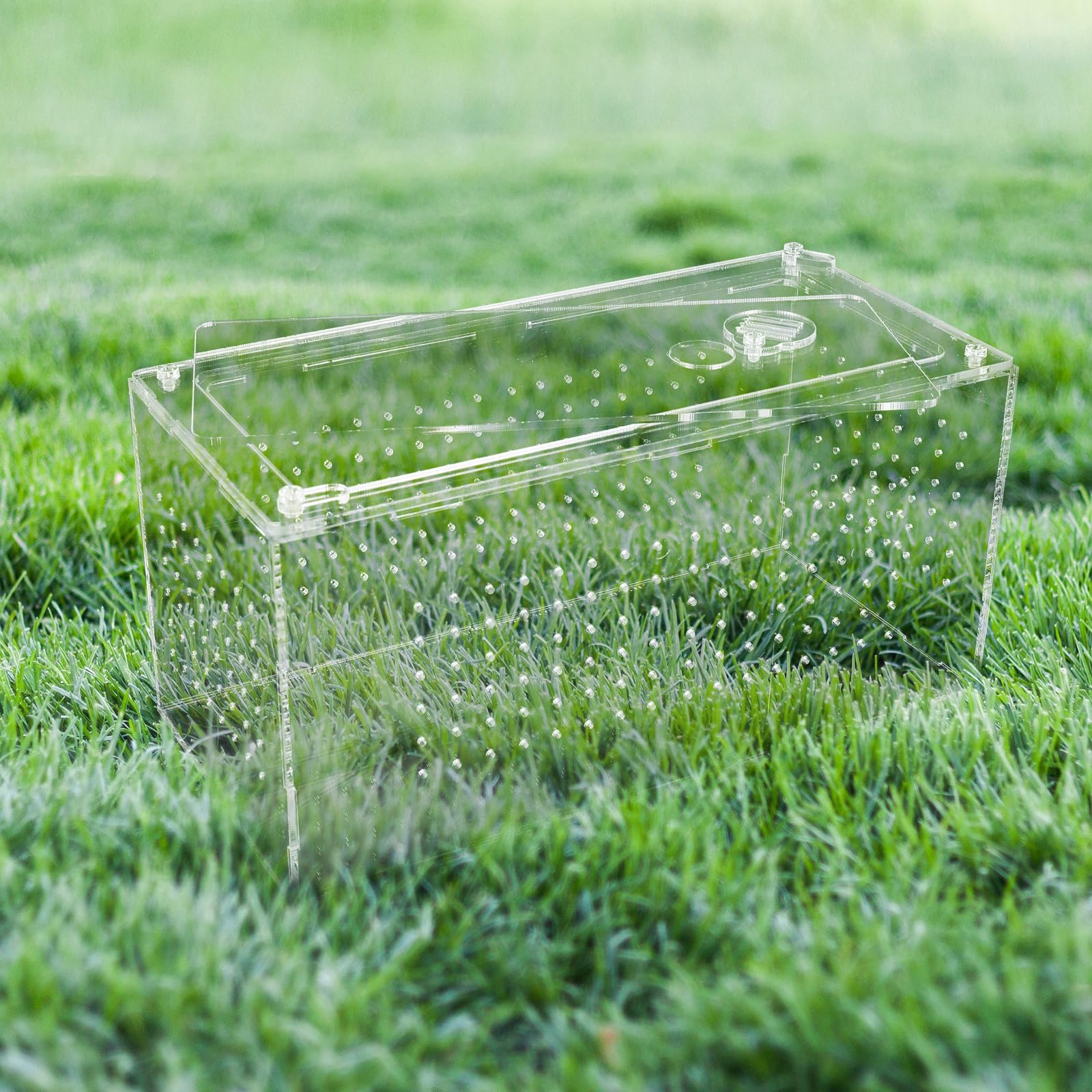 Terrario per Rettili in Acrilico Foro Traspirante, Gabbia Professionale Portatile per Piccoli Rettili Come Lucertole e Tartarughe, Facile da Osservare