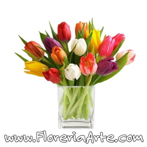 Floreria Flor Arte - //medicalbooks.filipinodoctors.org