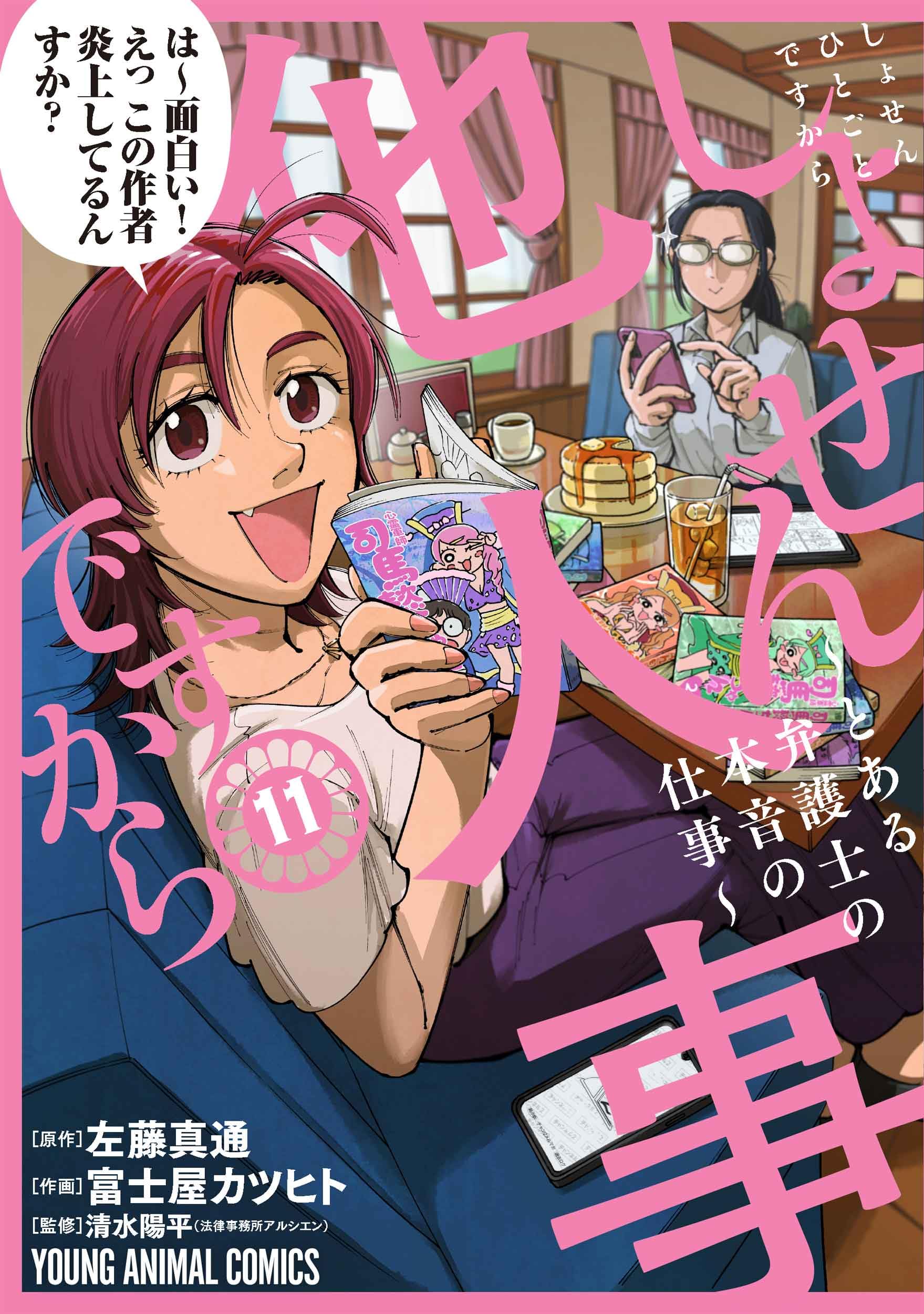 しょせん他人事ですから ~とある弁護士の本音の仕事~ 11