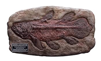 チ*ス様 シーラカンス　プロト チ*ス様 シーラカンス プロト Wonder of wild series