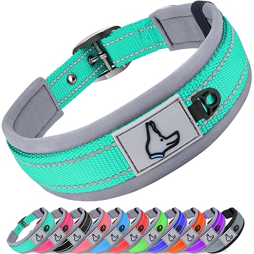 Joytale Neoprene Padded Dog Collar for Large Dogs, 11 Colors, Reflective Wide Pet Collars with Durable Metal Belt Buckle, Adjustable Heavy Duty Nylon Dog Collar, Teal