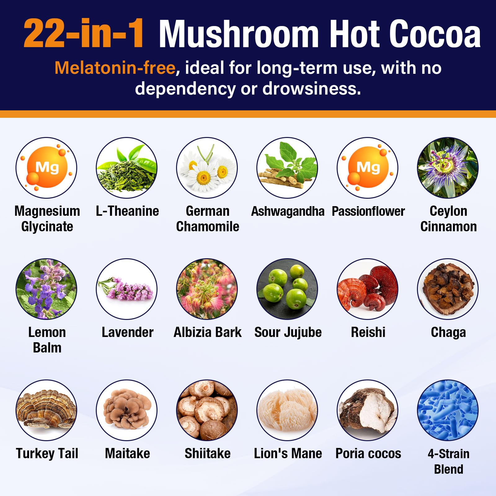 Mushroom Hot Cocoa Powder with Magnesium Glycinate, Ashwagandha, L-Theanine — Amazon image 5