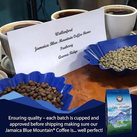 Jamaica Blue Mountain SPECIAL Peaberry Coffee | Wallenford | 1 LB Whole Bean| Medium Roasted - 100% Certified Authentic Jamaican Blue Mountain Coffee Beans Grade- Peaberry | Aroma Ridge.
