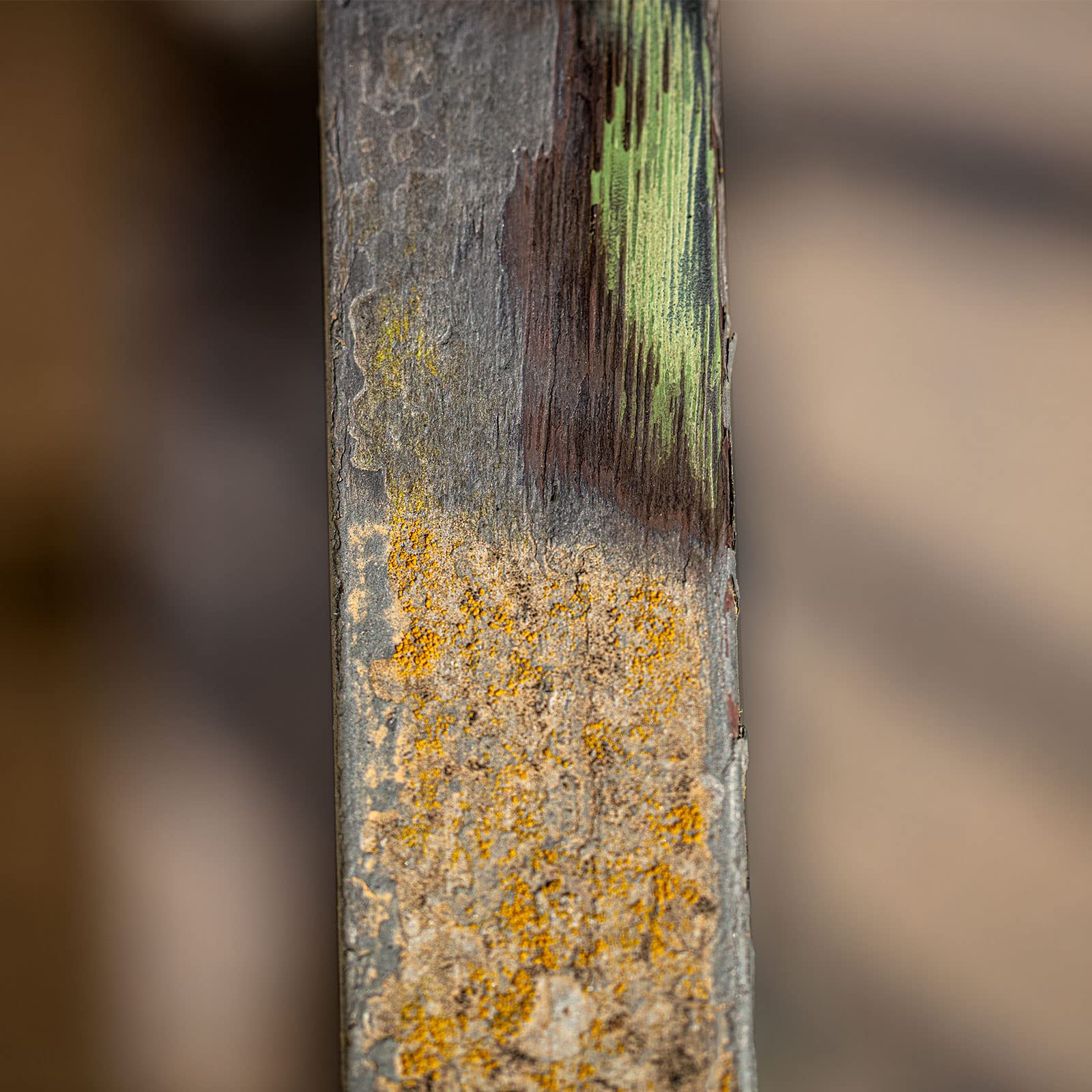 Scheppach Metalowa szczotka druciana do maszyny satynowej MRS1300 | szerokość 100 mm - 120 mm Ø | wałek do różnych powierzchni i materiałów, takich jak drewno, kamień i metal, nadaje się do