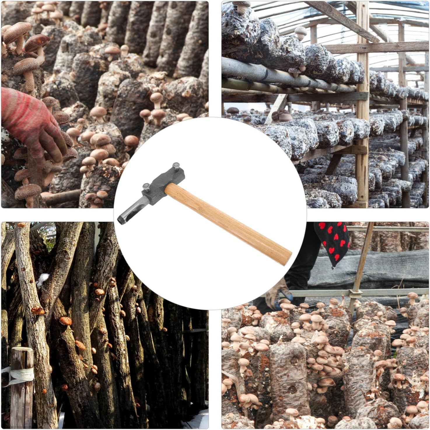 Yardwe Wood Inoculation Tool Mushroom Growing Supplies Multi-function Punching Hammer