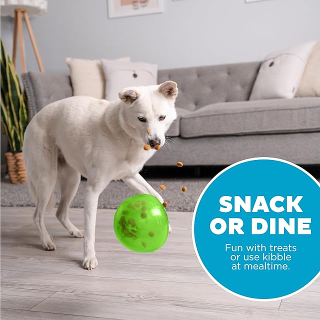 Foto 6 de 7 de Outward Hound Snoop Interactive Treat Dispensing Dog Toy, Large, Green
