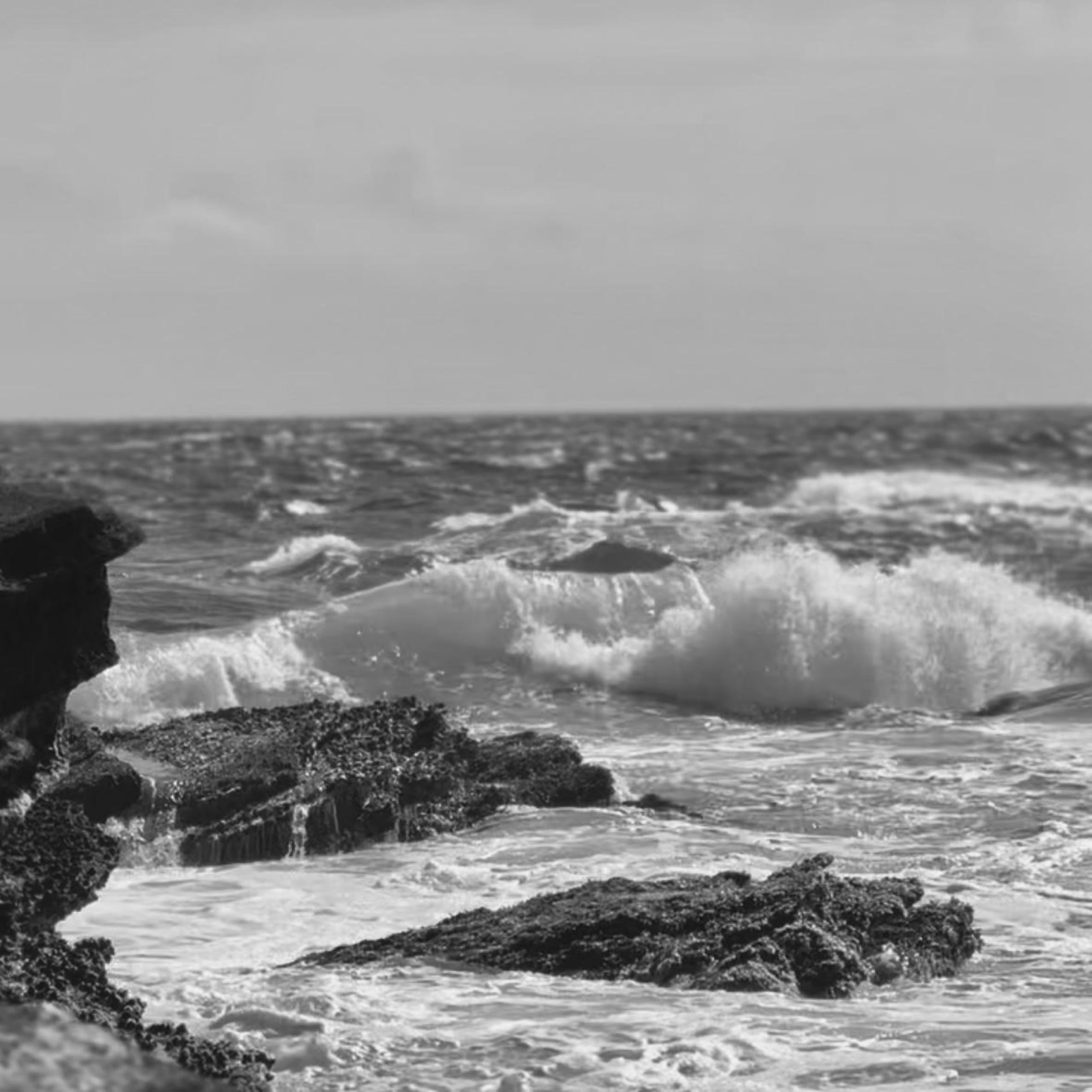 Felix Bosques Harima