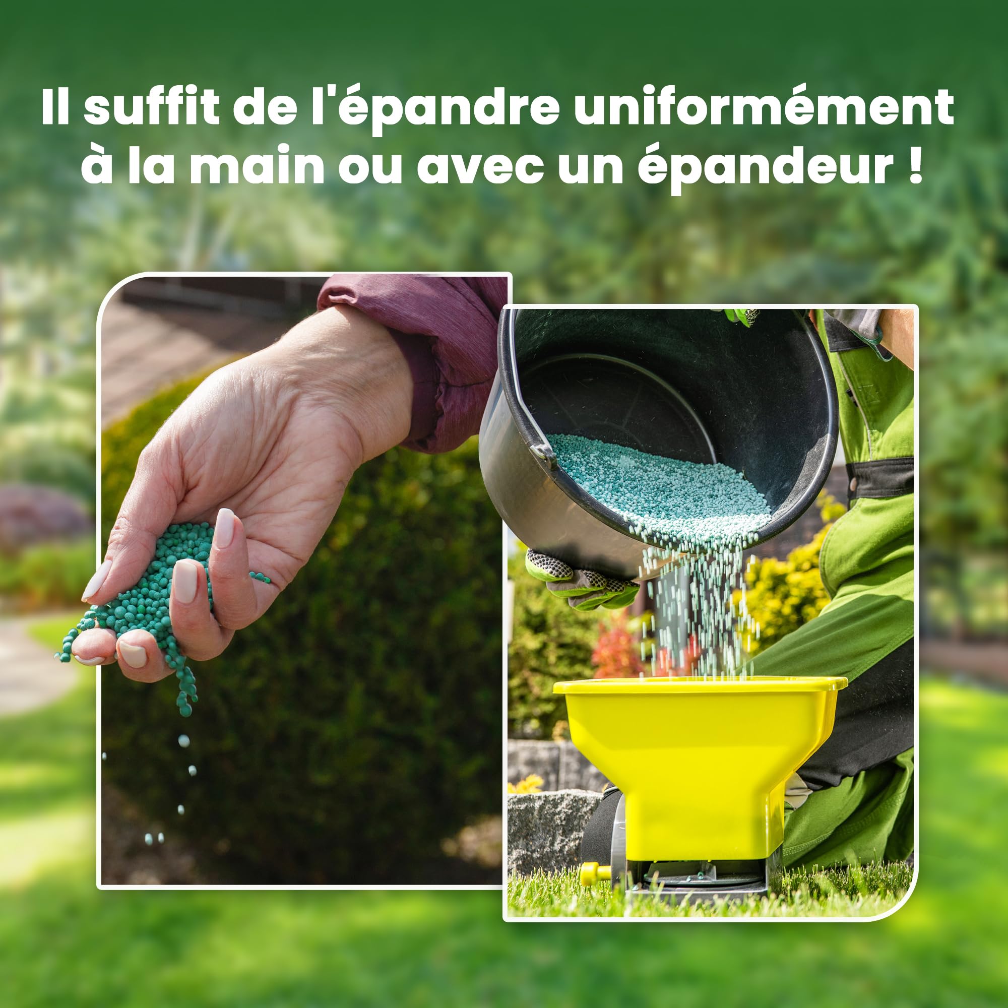 Sulfate De Fer GiDeli 500g - Engrais Pour Hortensias Et Jardin, Heptahydraté (FeSO4), Améliore La Croissance Et La Coloration - 8