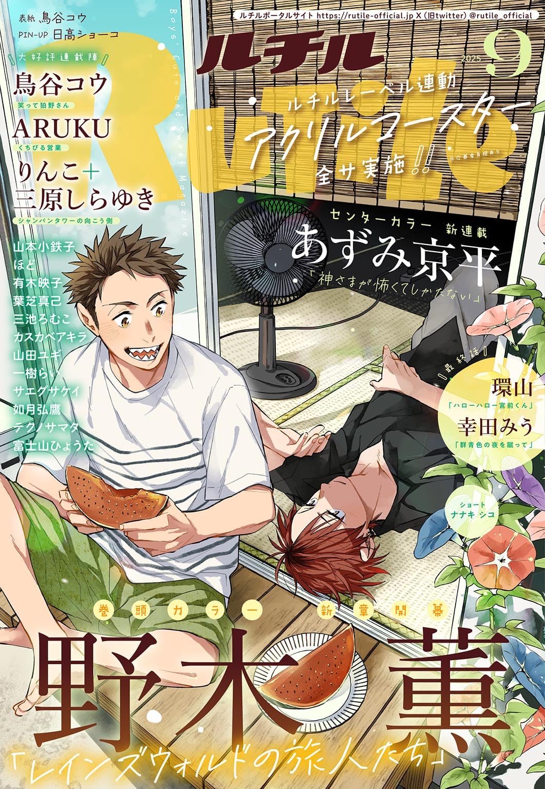 ミックスルチルたん！すごい！ 楽天市場】ミックスルチル クォーツの通販