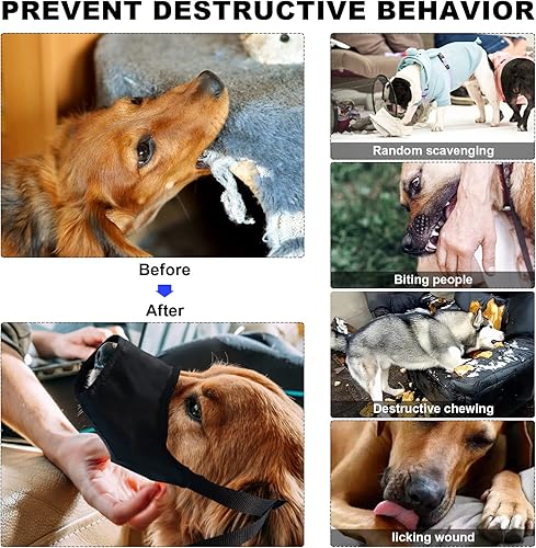 Miniatura 5 de Kit de primeros auxilios para perros, kit de primeros auxilios para mascotas, kit de emergencia para mascotas, arnés de hamaca, cortaúñas,