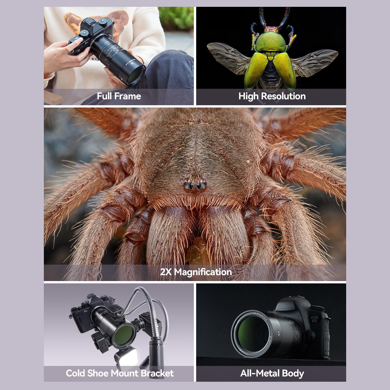 TTARTISAN 100mm F2.8 Makro 2X Kameraobjektiv für Sony E Mount Vollformat Manueller Fokus Objektiv für Miniaturfotografie