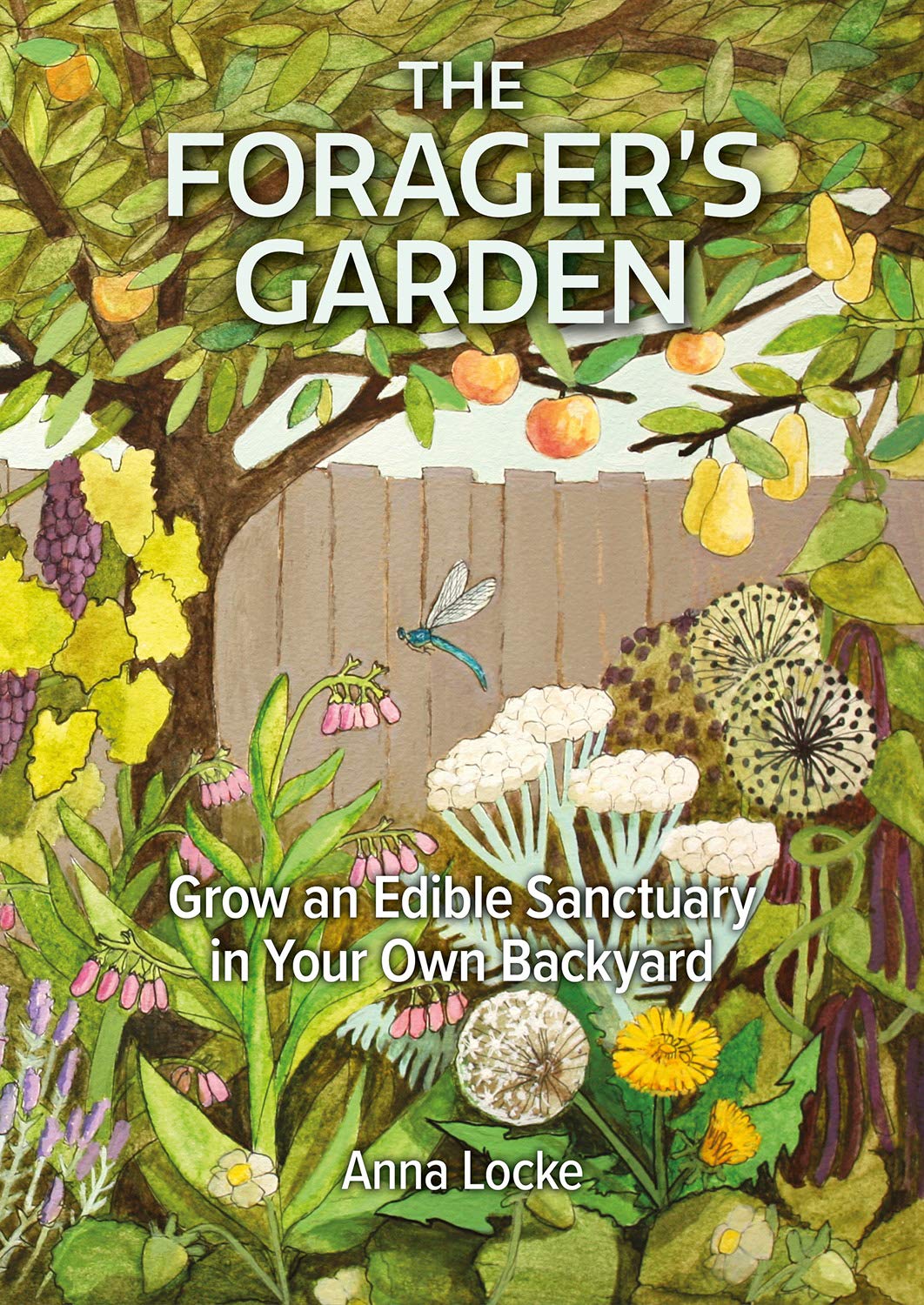 The Forager's Garden - Grow an Edible Sanctuary in your own Backyard