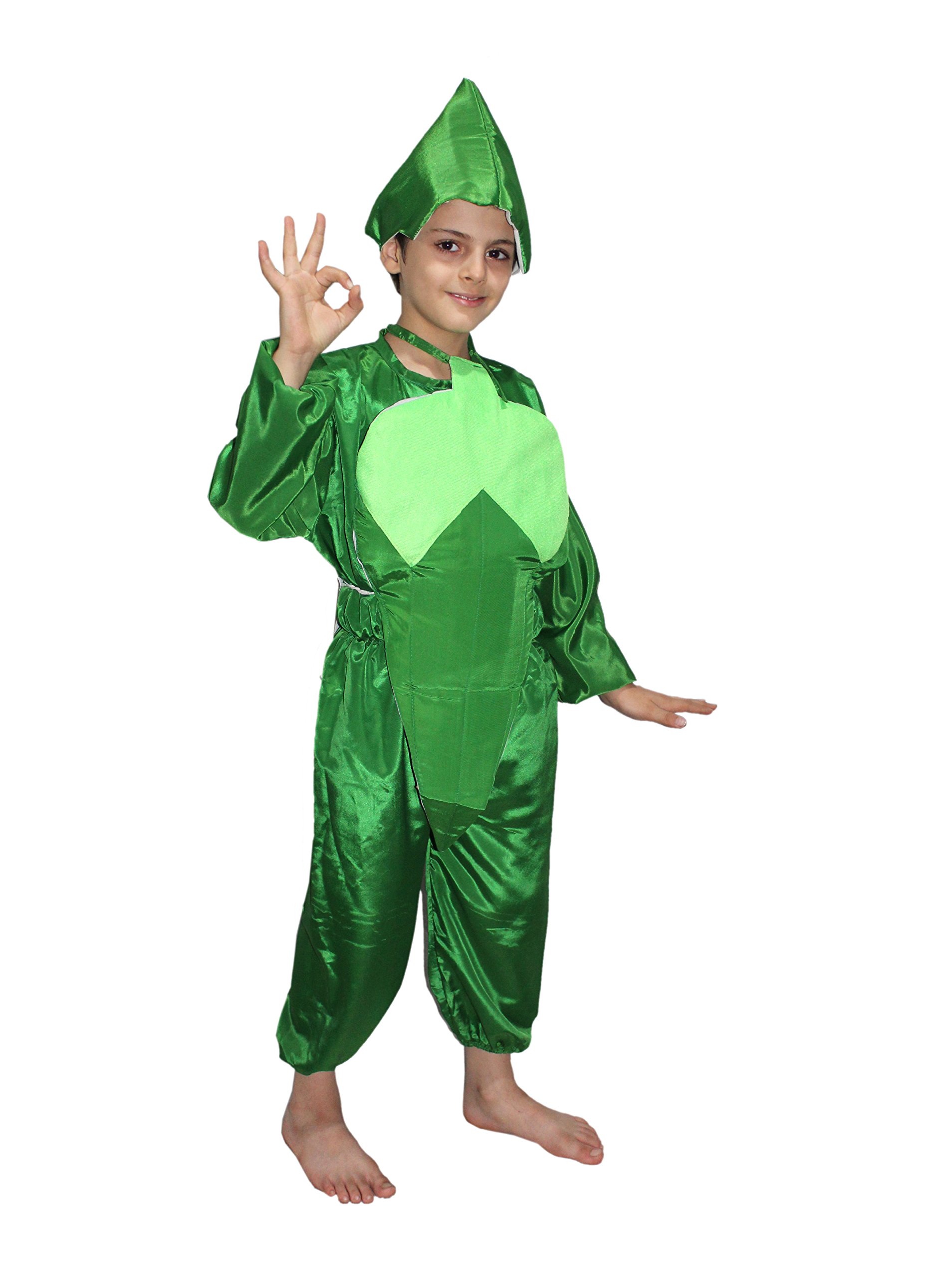 Kaku Fancy Dresses Lady Finger Vegetable Costume -Green, 5-6 Years, For Boys & Girls (B01LZHJAEB) Amazon Price History, Amazon Price Tracker