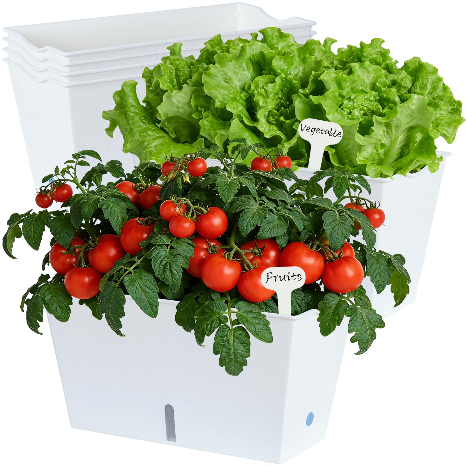 Window Box Planter 6 Pcs, 12.1 Inches Self Watering Plant Pots Rectangle Flower Pots with Drainage Holes and Breathable Trays, Vegetable Planters for