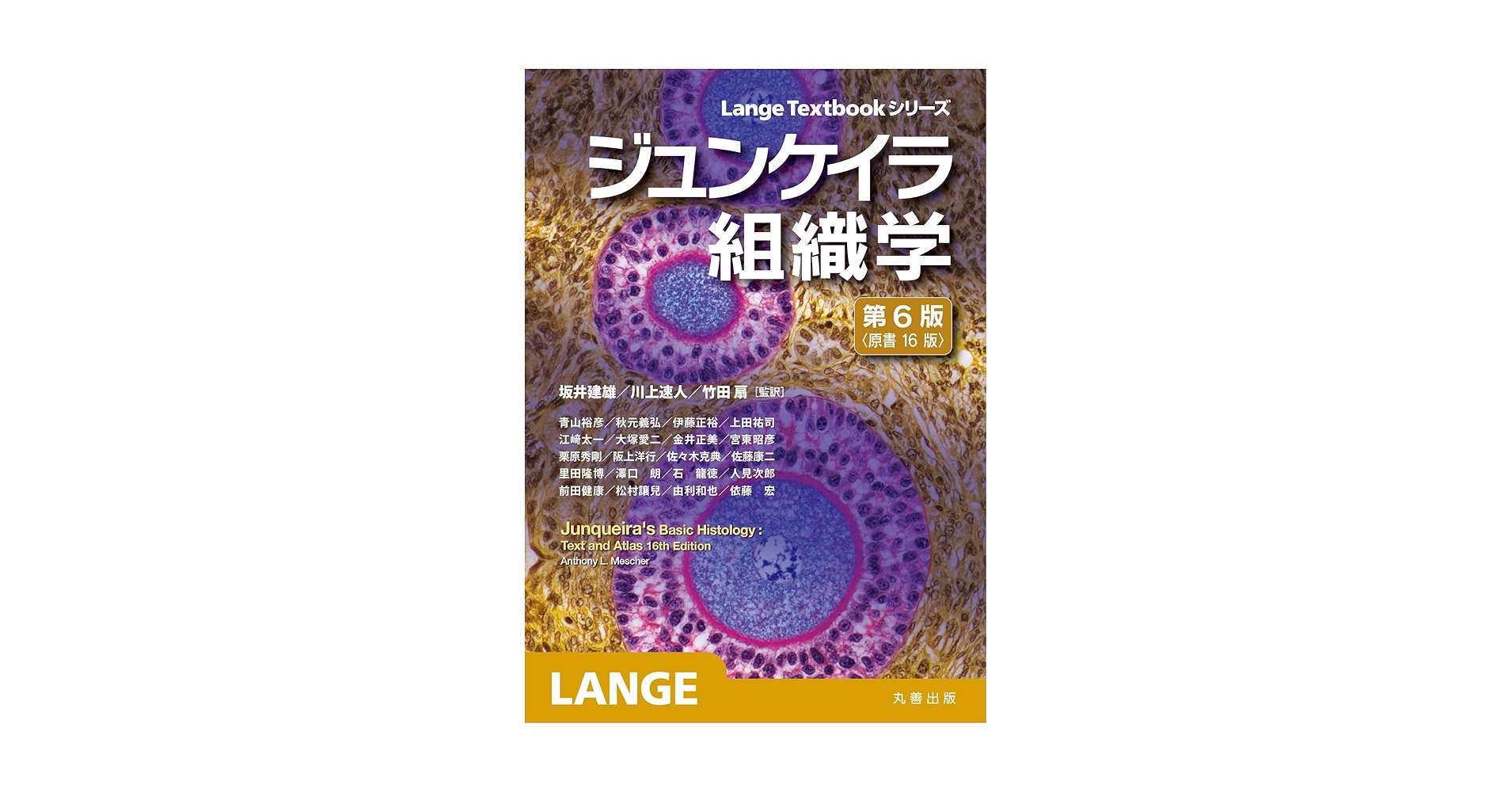 【新品】ジュンケイラ組織学 第6版 ジュンケイラ組織学 第6版(原書16版) (Lange Textbookシリーズ