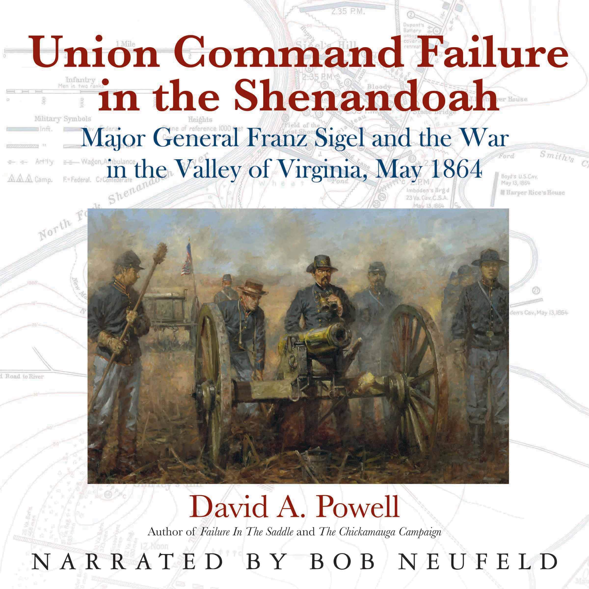 Union Command Failure in the Shenandoah