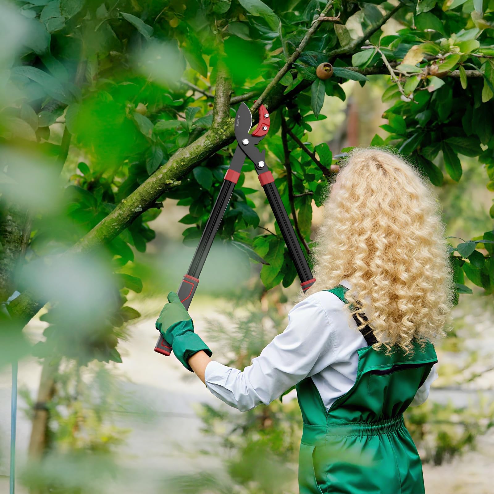 JiveSnip Sécateur de Jardinage Robuste, Coupe-Branches Avec Structure à Engrenages, Lames SK5 Avec Revêtement en Téflon, Poignées en Alliage D'aluminium