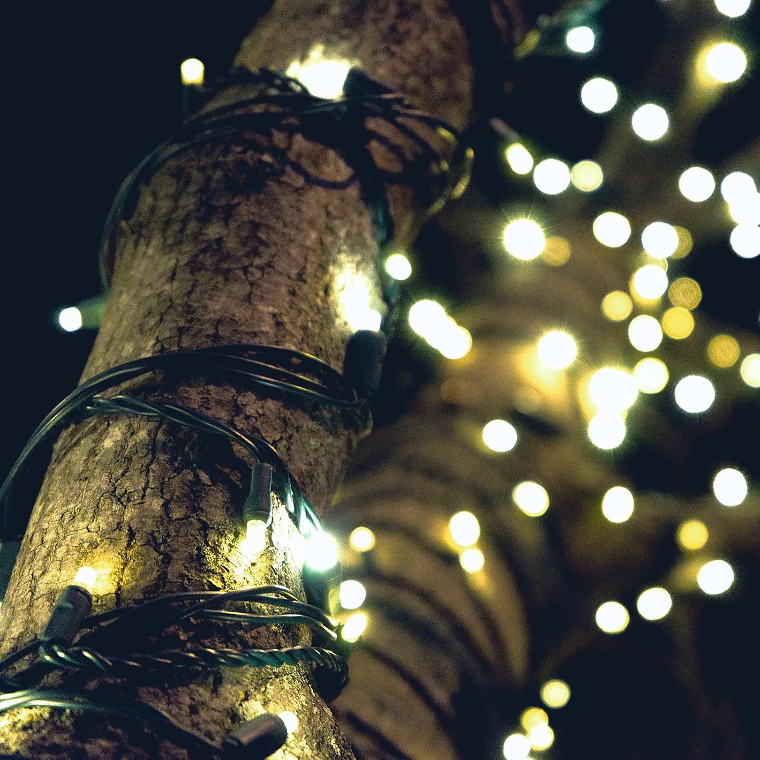 Christmas Lights - Battery Operated String Lights 50 LED String Lights Mini Lights with Auto-Timer and 8 Lighting Modes for Christmas Wreath Party Wedding Garden Home Decoration, Warm White - Image 5