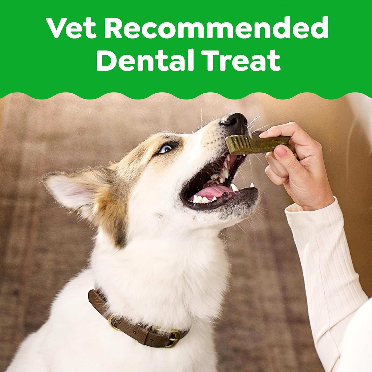 Greenies Veterinarian-Recommended Adult Natural Dental Dog Treats Large Size, Dog Dental Chews, Original Flavor, 54 oz. Pack, 34 Count