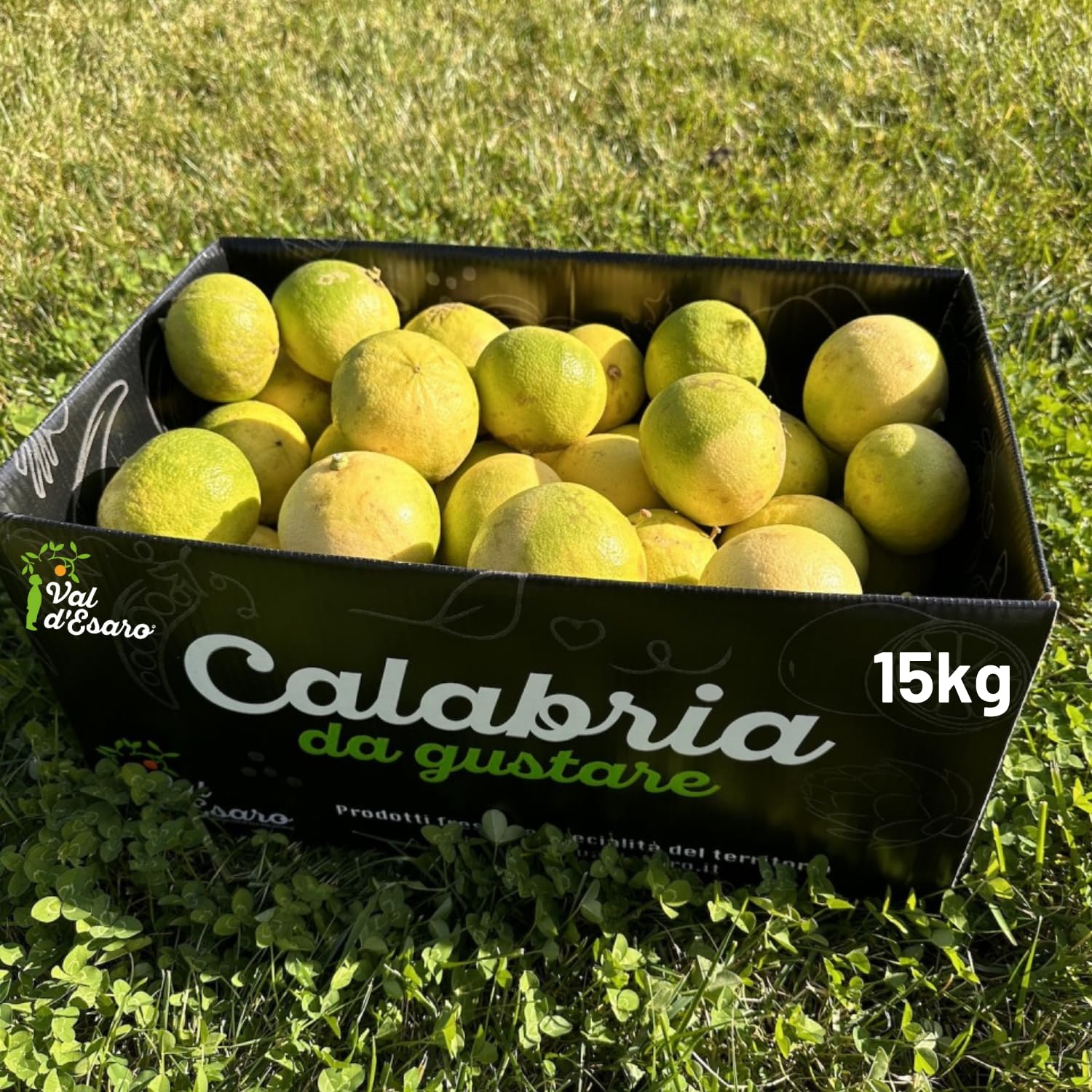 Bergamotto Fresco di Reggio Calabria - Agrume fresco 100% Naturale - Buccia edibile non trattata- Val D'Esaro (Box da 15 Kg)