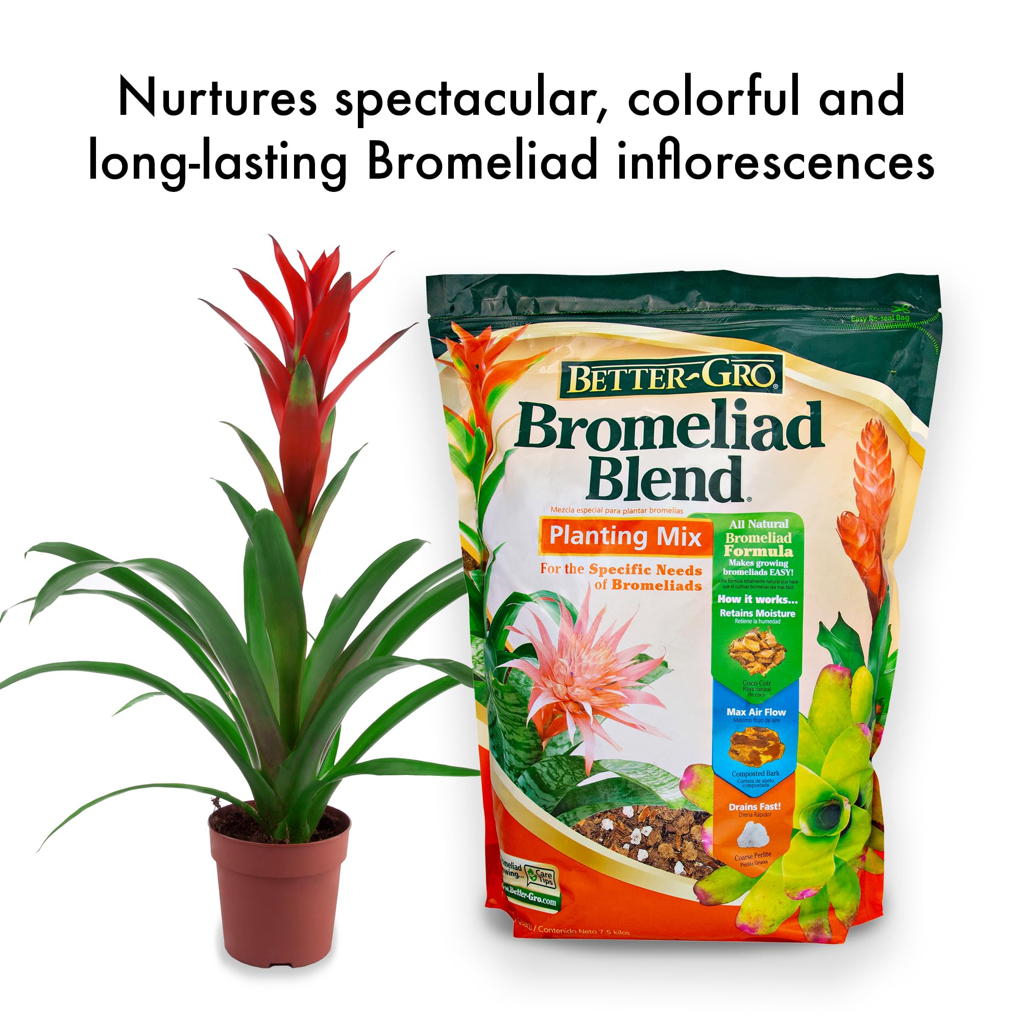 Better-Gro Mezcla de bromelia de 8 Cuartos de galón