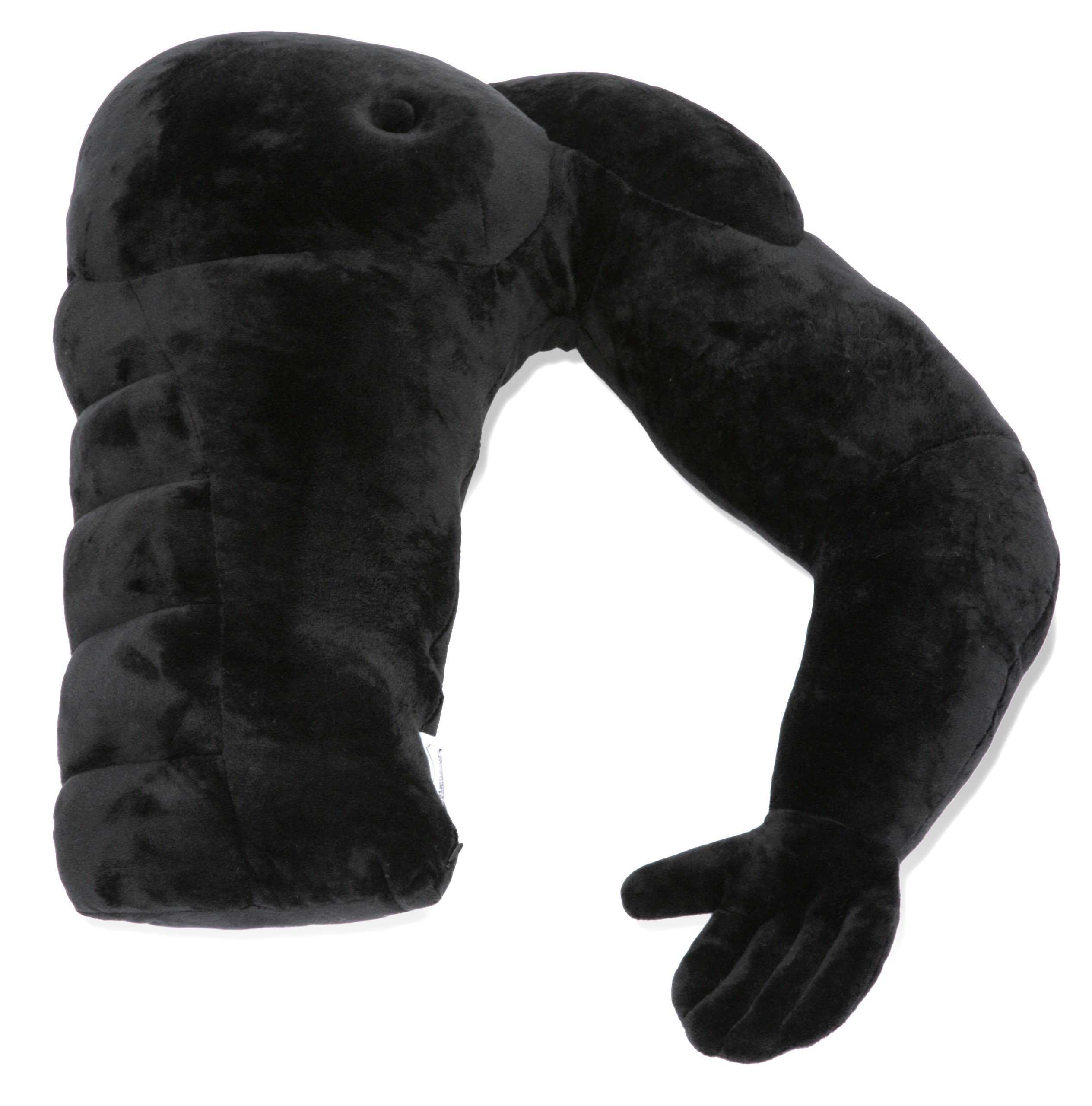 Buy Muscle Man Pillow Cute and Fun Hunky Husband Cuddle Companion