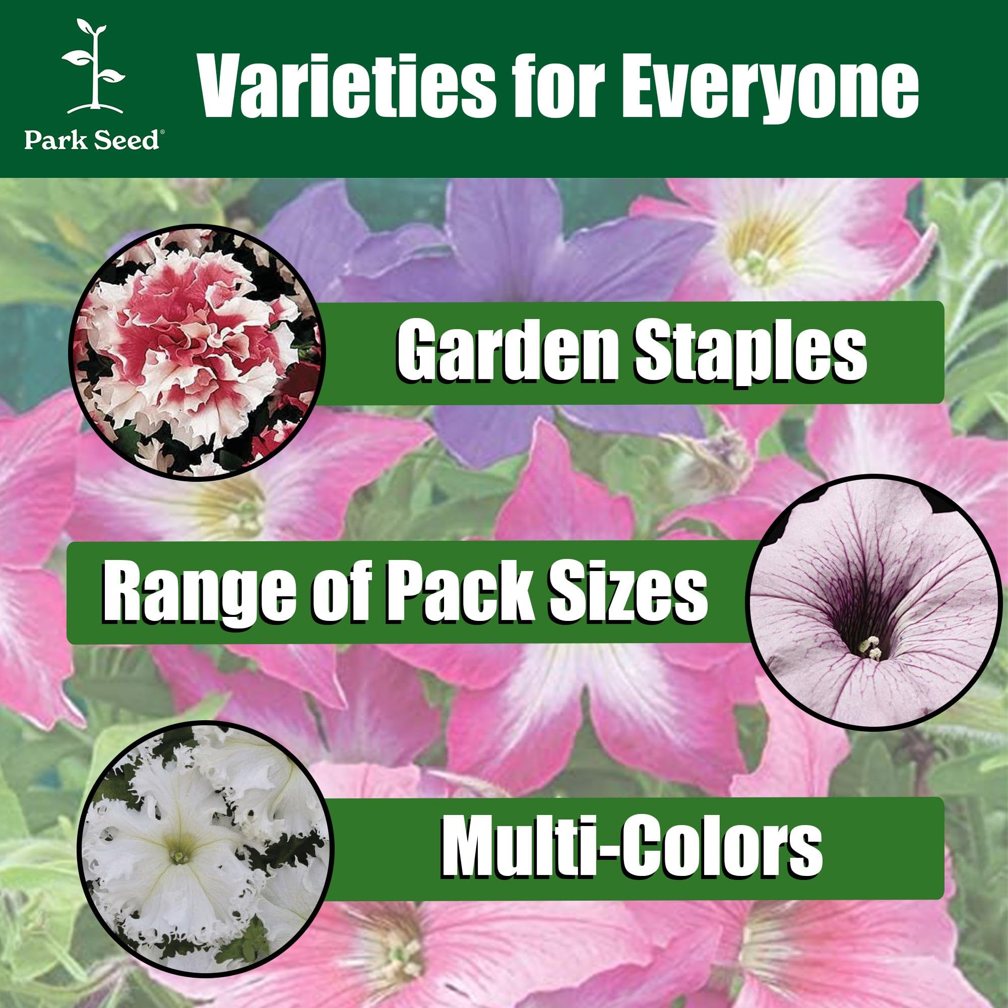 Amazon.com : Park Seed Opera Supreme Raspberry Ice Petunia Seeds