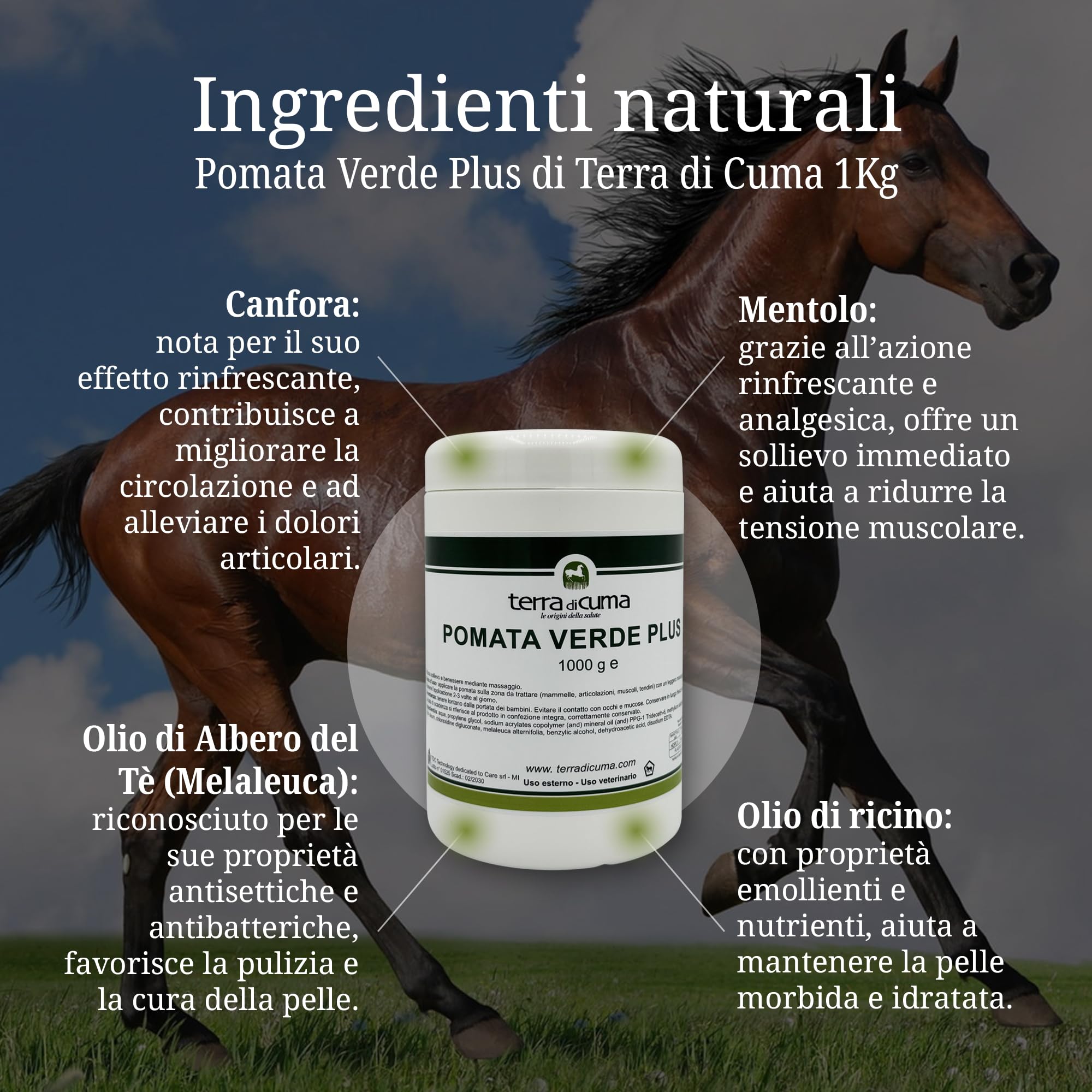 Terra di Cuma Pomata Verde Plus - 1 Kg
