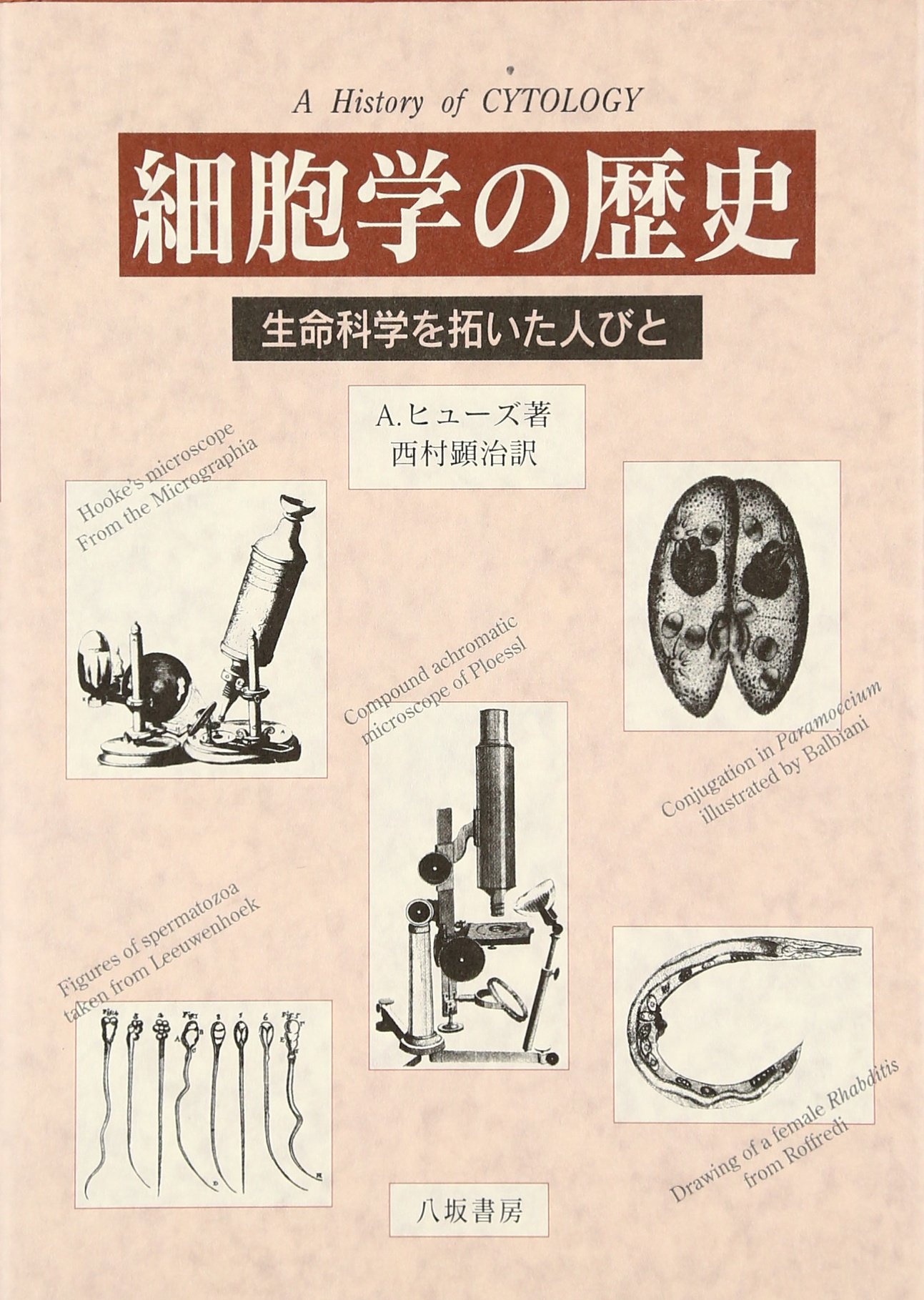 81241Ww9jQL.jpg