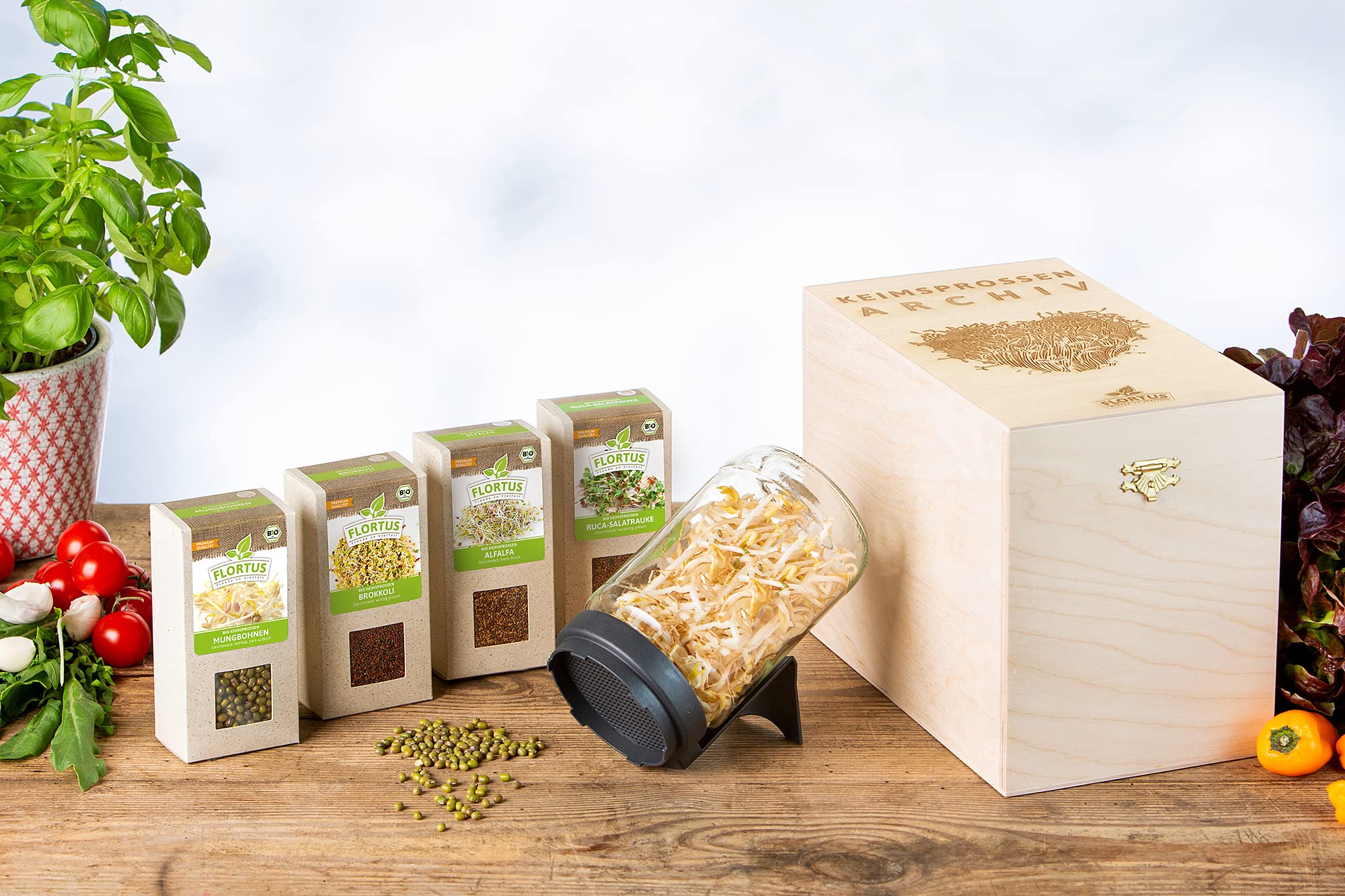 FLORTUS BIO Keimsprossen Archiv Geschenkbox - Starterset inkl. 4 Sprossensorten | Alfalfa, Brokkoli, Mungbohne und Rucola | Geschenkset mit Sprossenglas | Keimsprossenbox Holzbox mit Deckel