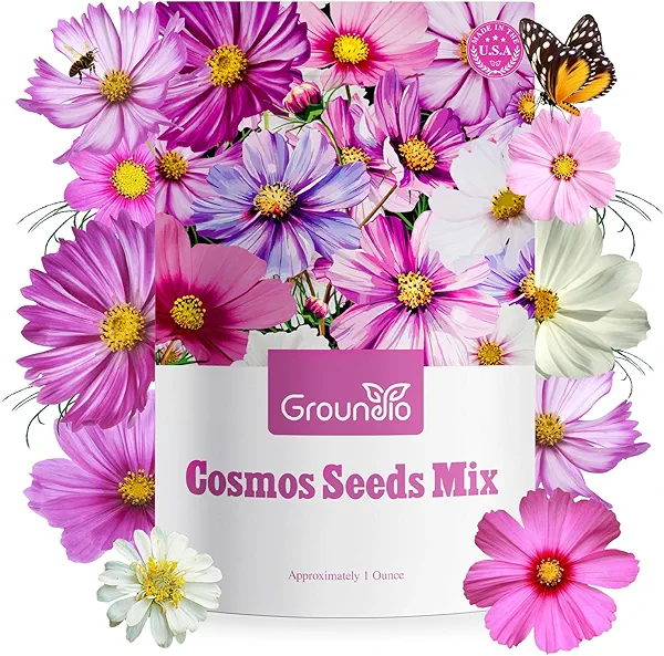 Groundio Cosmos Seeds Wildflower Mix, 1 Oz, Over 3,000 Seeds, 4 Varieties Flowers Seeds for Planting (Radiance, Purity, Pinkie, Picotee), Garden Seeds Open Pollinated Bulk