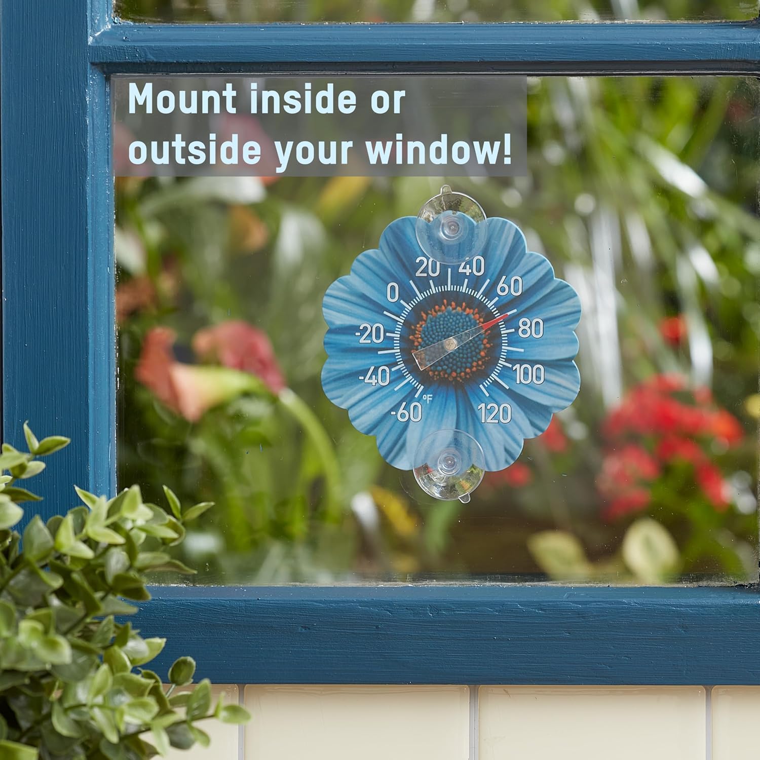 Taylor Daisy Dial Thermometer, 4-Inch Indoor Outdoor Silicone Suction Cup Thermometer, Weather-Resistant Temperature Gauge for Patio, Pool, Garden, or Garage, Blue - Image 4