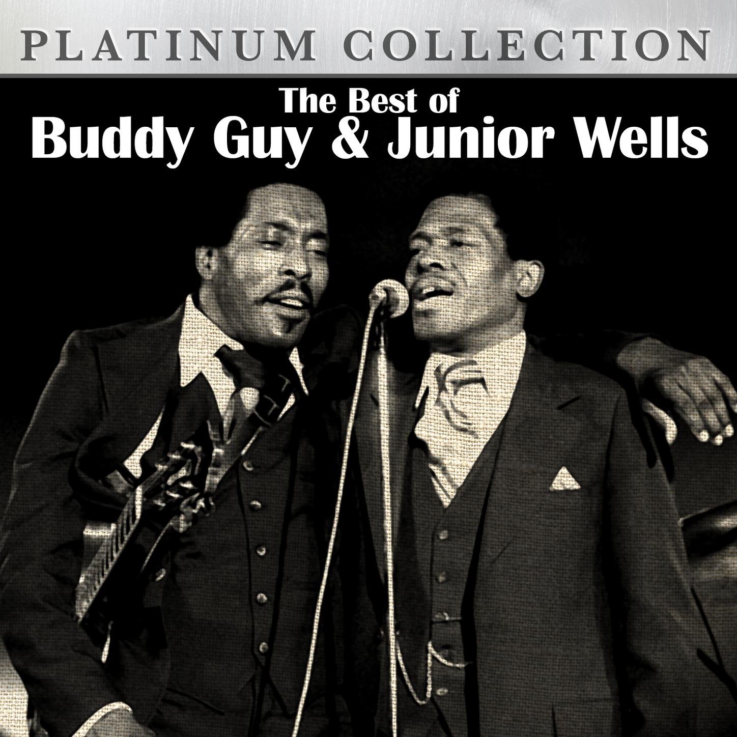 The Best Of Buddy Guy And Junior Wells