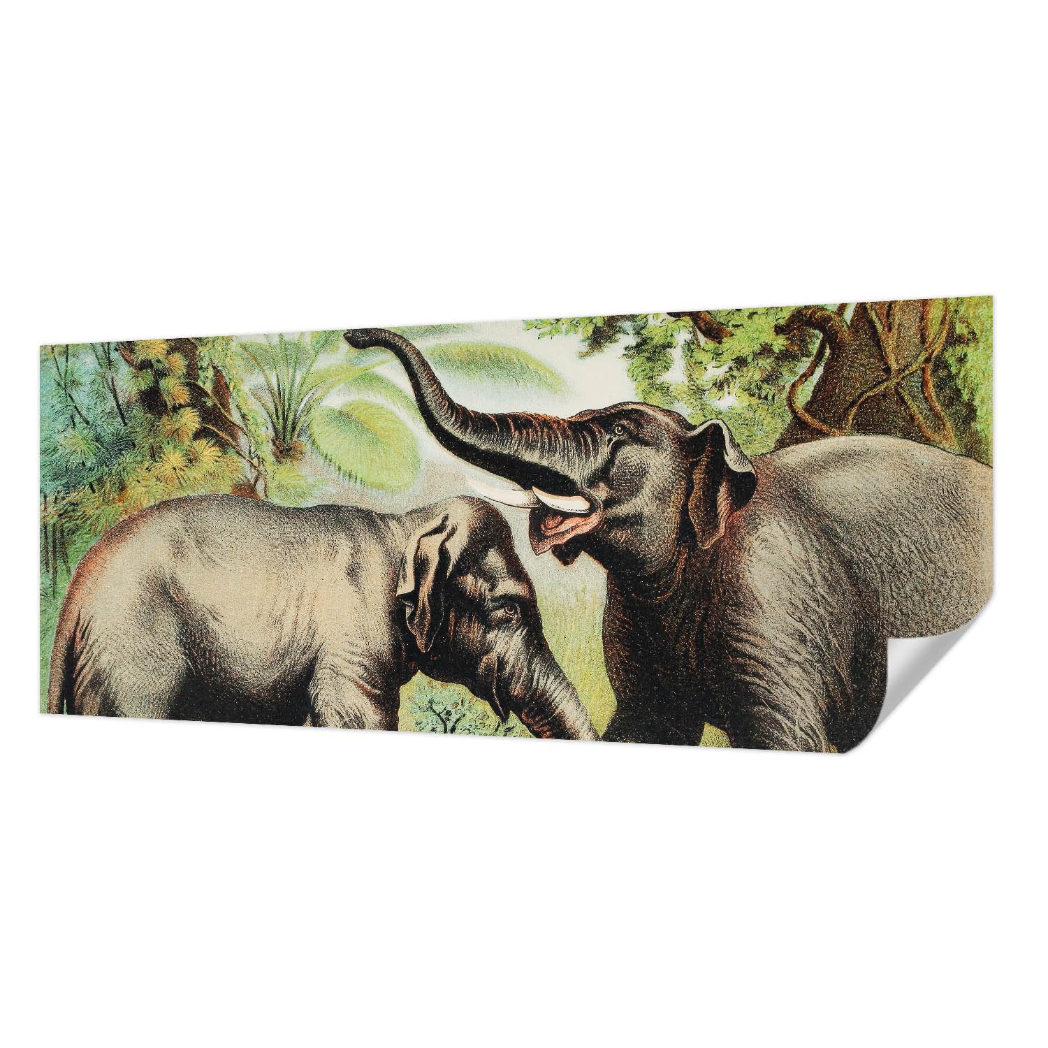 Papier peint éléphants résistant aux taches Tulup 250x104 lavable