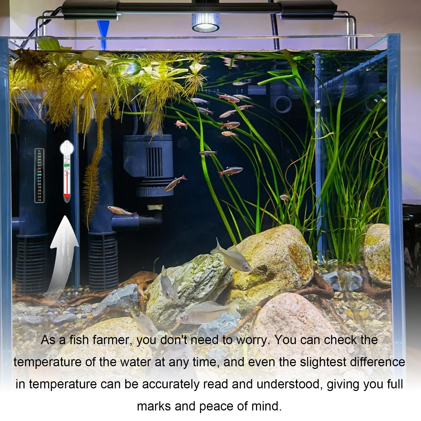 2 Pièces Thermomètre Aquarium et 3 Pièces Thermomètre Aquarium Autocollant, Mesure Précise et Affichage Clair, Adapté aux Tortues, Poissons