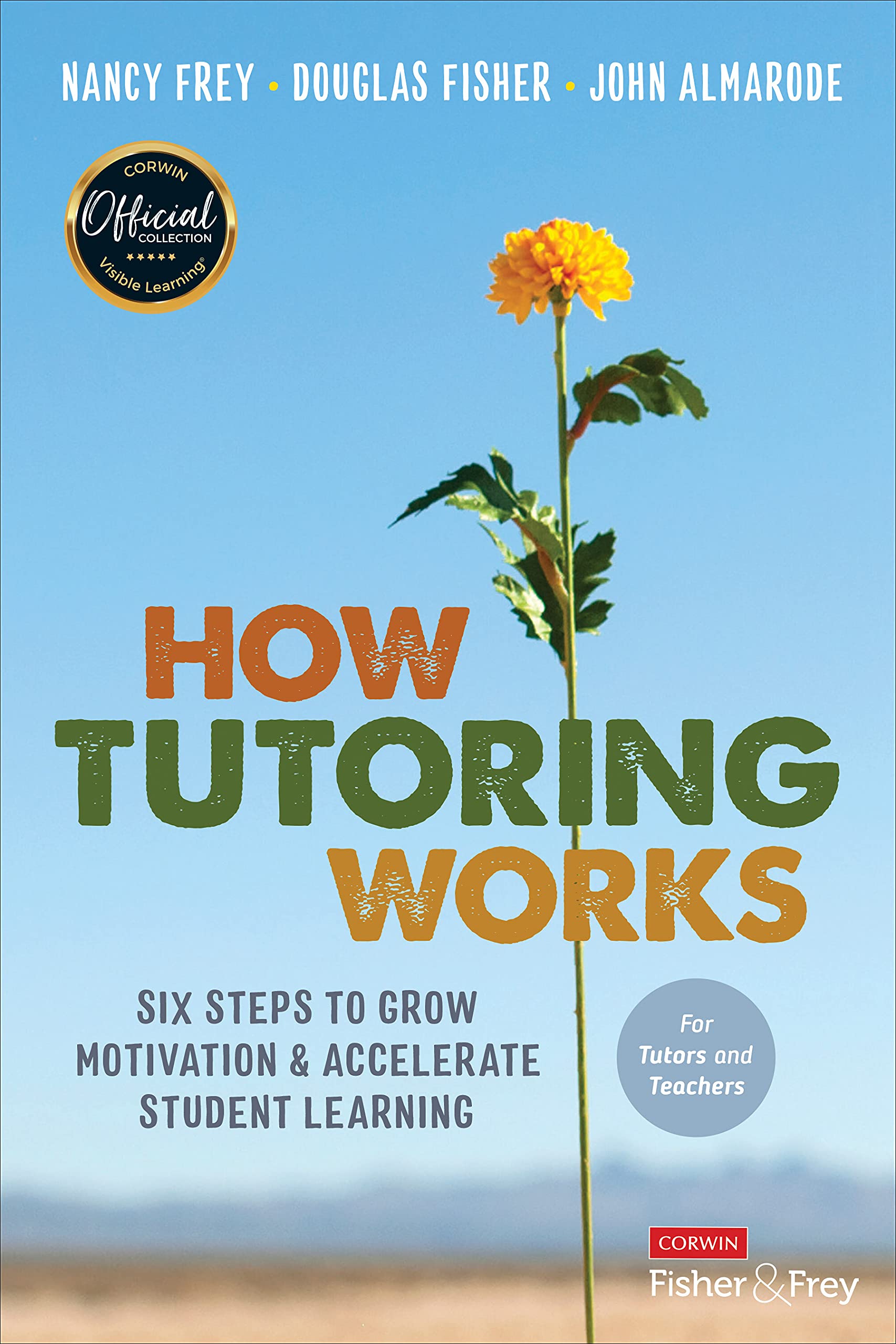 How Tutoring Works by Douglas Fisher PAPERBACK 9781071855959