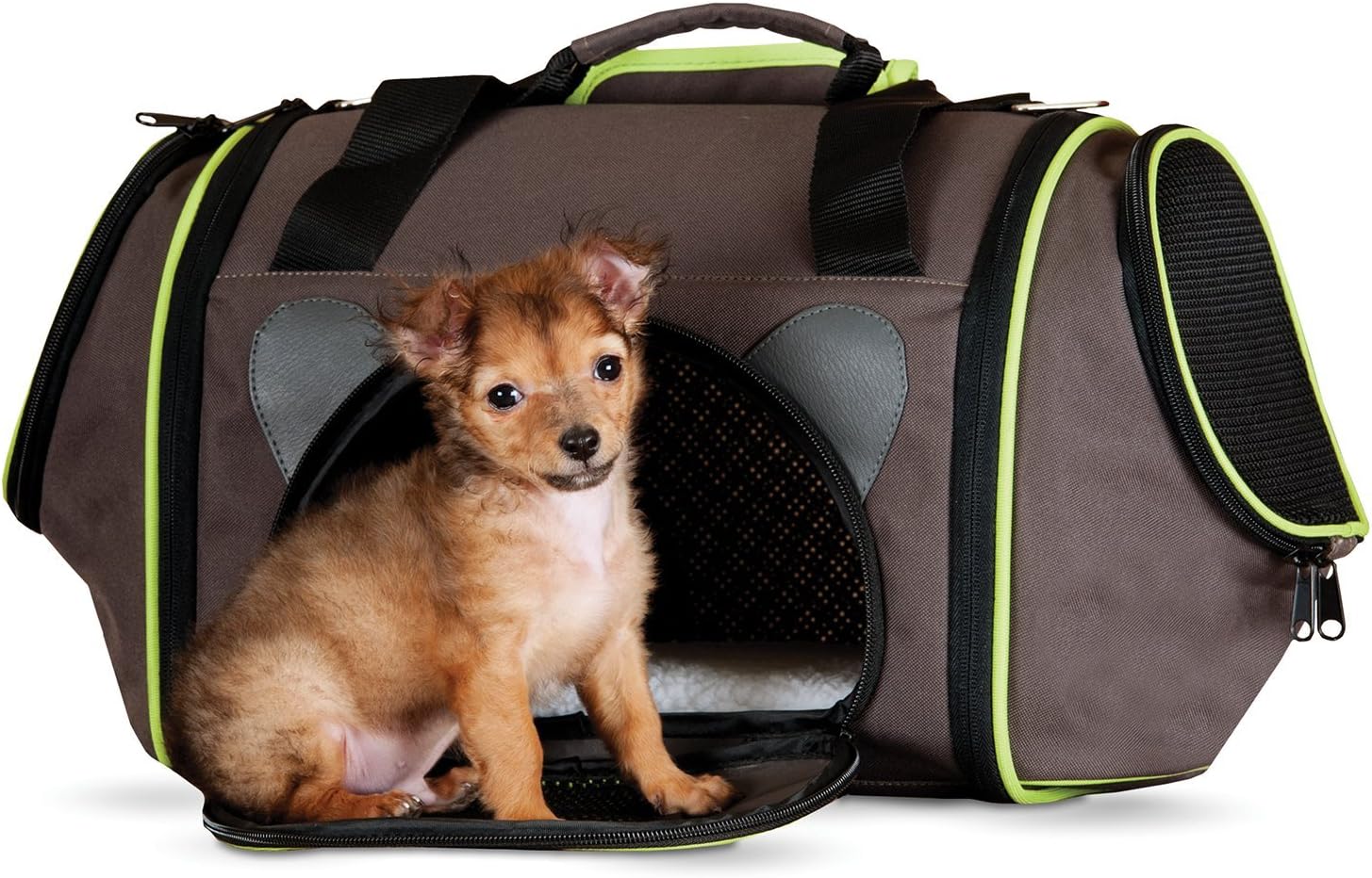 K&H Pet Products Classy Go Pet Carrier Brown/Lime Green Medium 21" x 10" x 10.5"