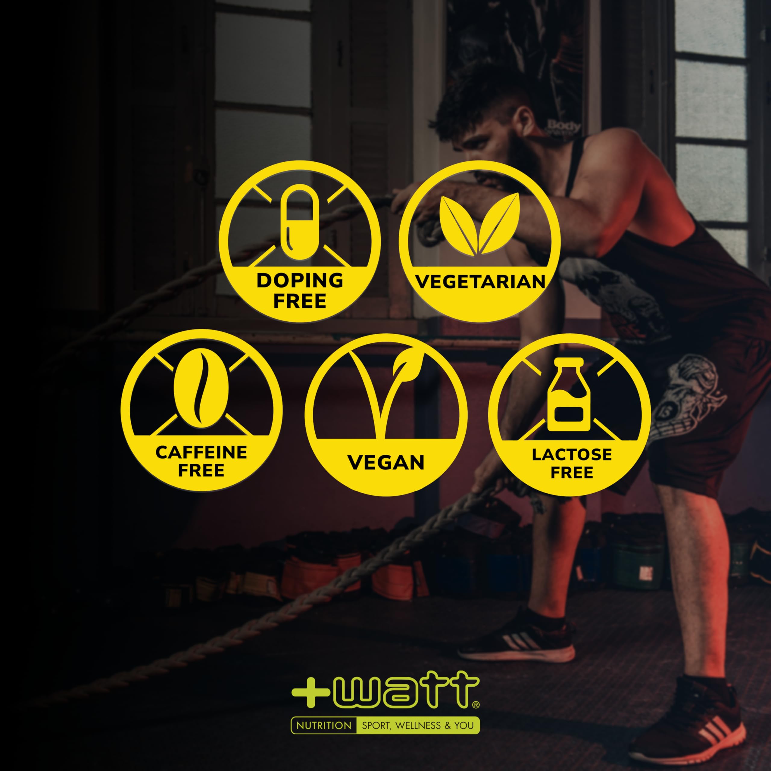 LONG RACE - Barretta Energetica ai Cereali con Farina di Avena, Cocco e Semi di Lino per Pre-Workout o Allenamenti di Lunga Durata (Box 12 Barrette, Limone)