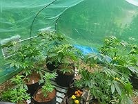 Review Image by Danie Danie