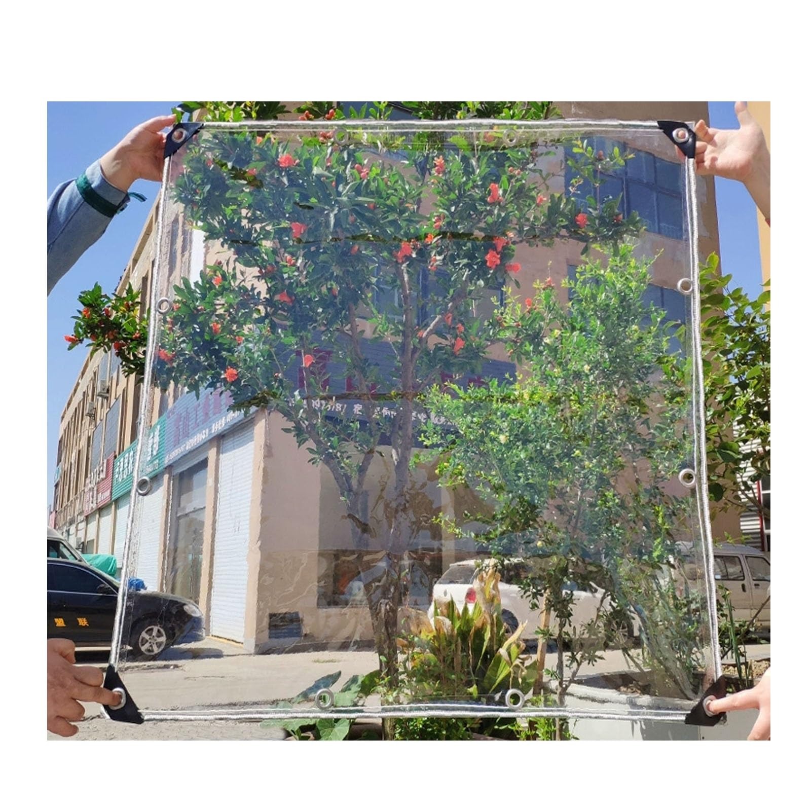 Bâche transparente contre la pluie pour protection des plantes PVC