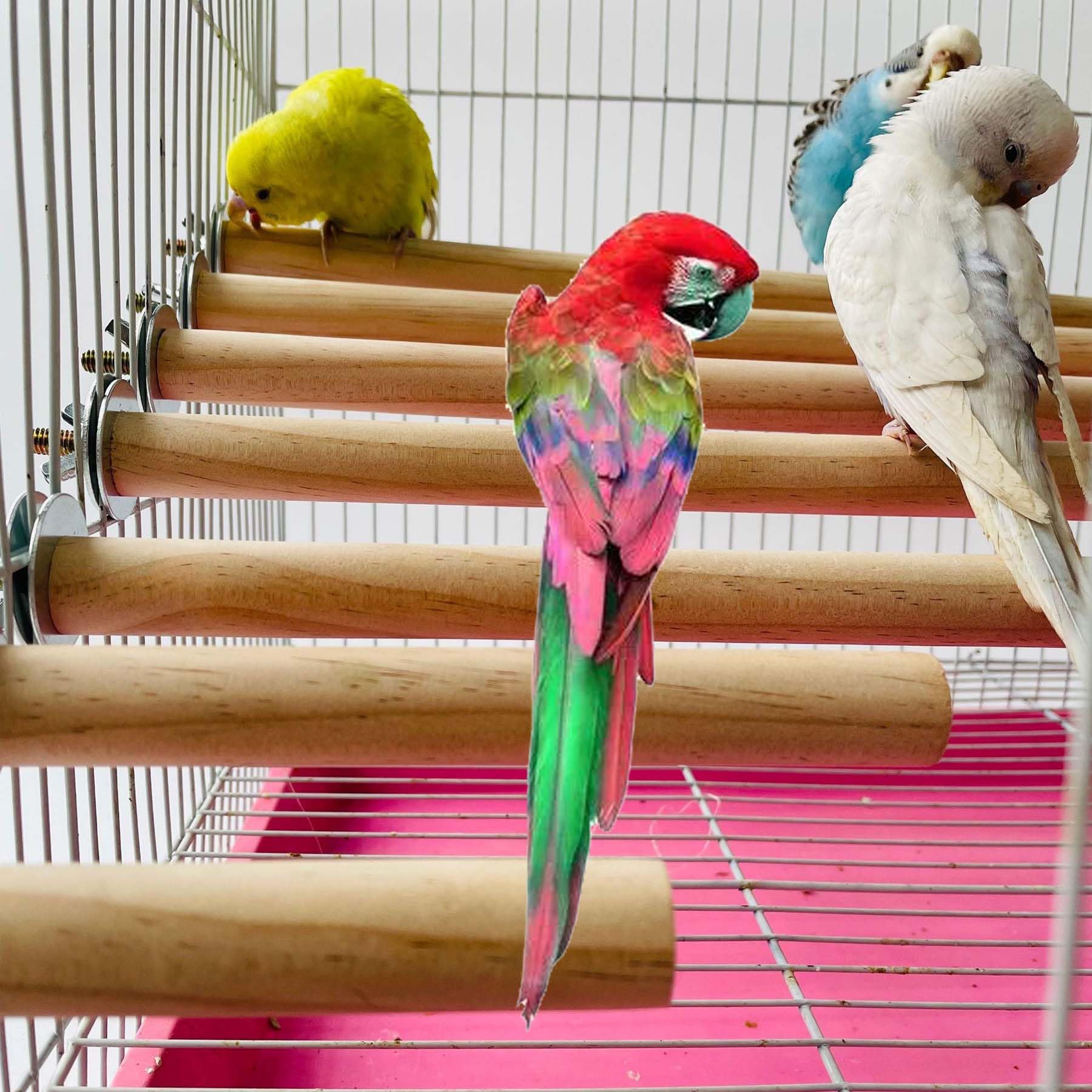 Allazone 7 PCS Perchoirs en Bois pour Oiseau, Branches en Bois pour Cage à Oiseaux, Perchoirs Naturels pour Perroquets, Calopsittes, Canaris - 5