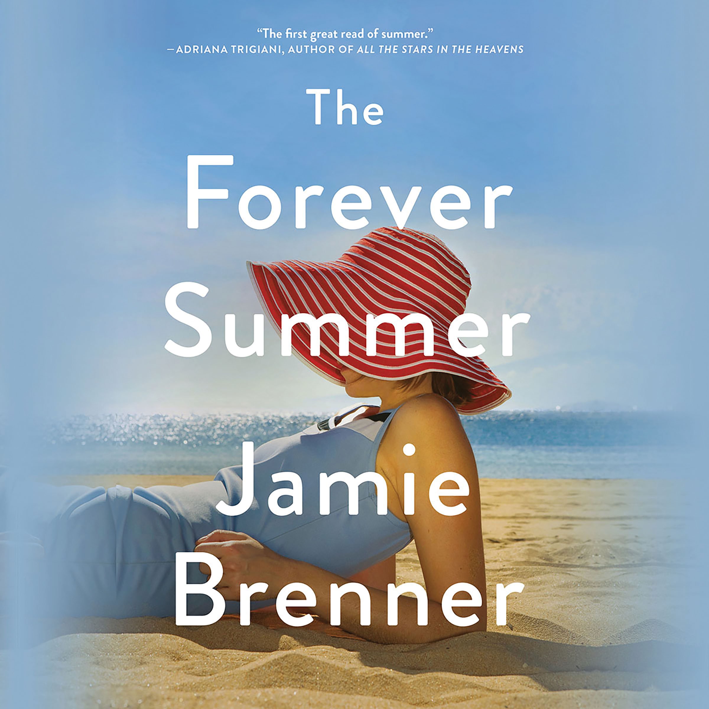 Cover art for The Forever Summer