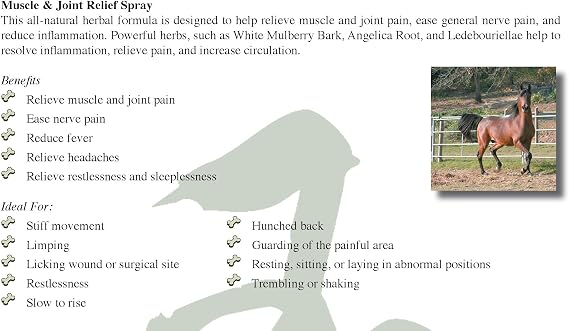 JADIENCE Dog, Cat, Horse Sore Muscle Pain Relief Spray: 2oz | Hip & Joint Care Healing Medicine | Natural Treatment to Soothe & Support | Herbal Relaxer for Old & Young Animals | EnlightAPet