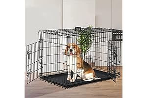 42 Inch Dog Crate - Spacious Home for Your Furry Friend