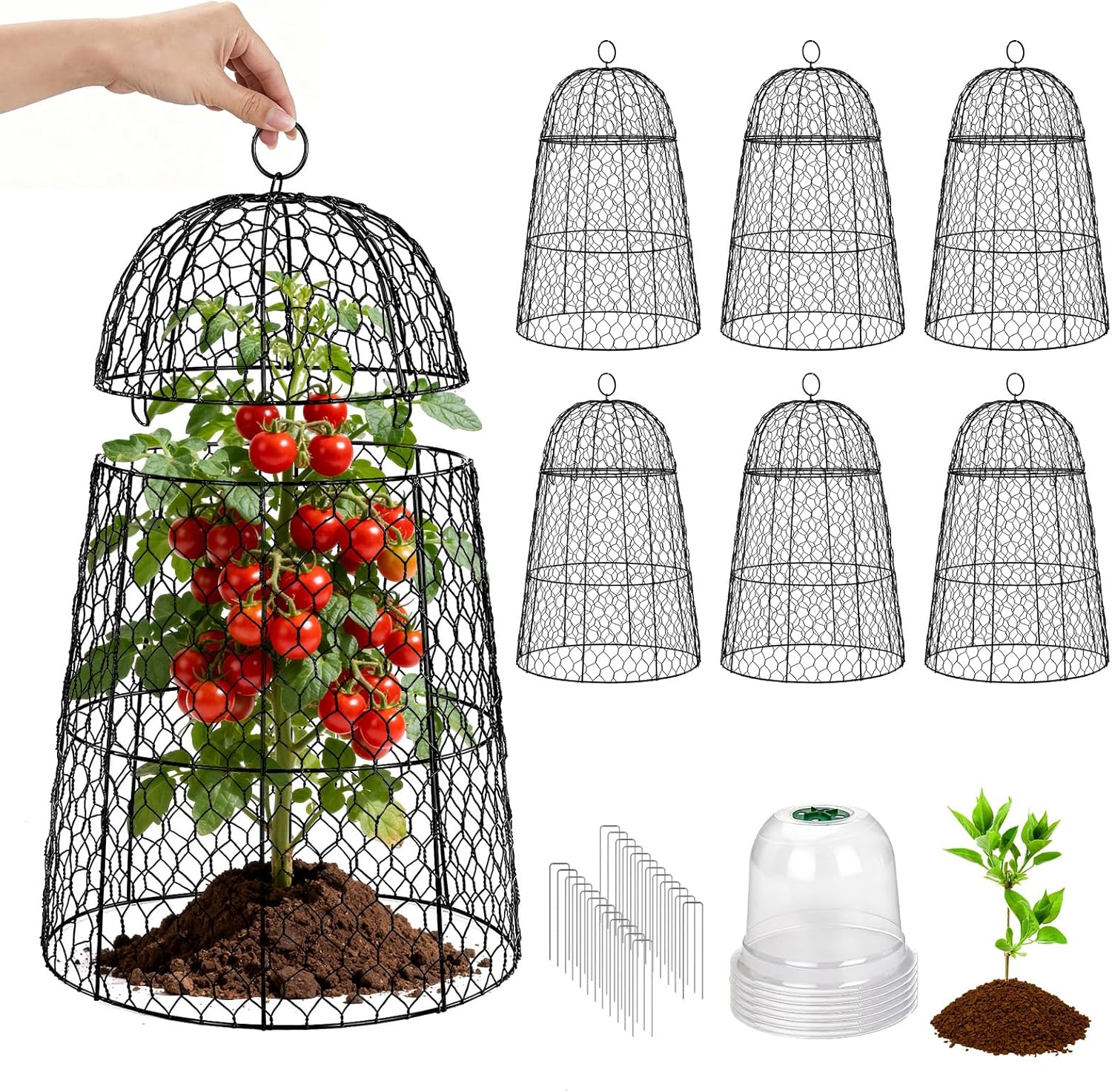 6 Pack XL Metal Garden Cloches for Plants, 17" Height Rustproof Chicken Wire Cloches for Seedlings, Vegetables & Flowers, Plant Protectors from Animals Includes 6 Humidity Domes & 24 Stakes - Black